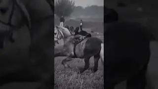 нағыз тұлпар ат 🏇🔥🔥🔥 #horse #duet #humor #automobile #rek #love #mare #equestrian #funny #uloq_kokp