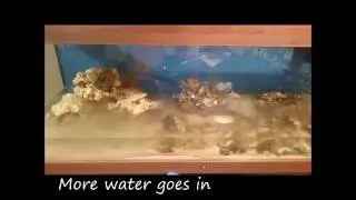How to upgrade a reef tank.