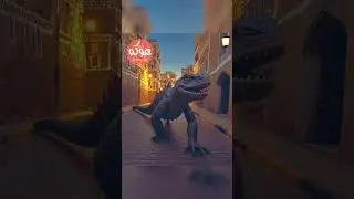 رازم رقم ١