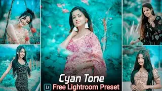 Cyan Tone Lightroom Presets Free Download