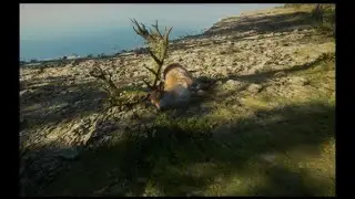 theHunter: Call of the Wild //Red Deer Great One Down!!