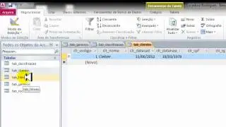 Projeto Locadora - Cadastrando Dados