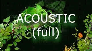 AUDIO JUNGLE NO COPYRIGHT acoustic (full)