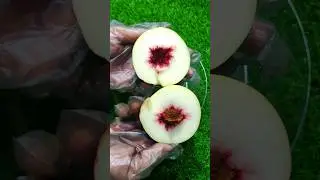 peach cutting karne ka tarika #peach #cuttingskills #cuttingfruit #fruitcutting #shorts #foodshorts