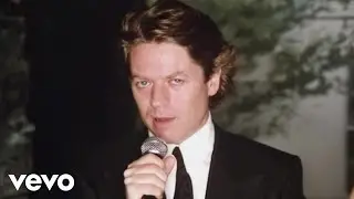 Robert Palmer - I Didn't Mean To Turn You On