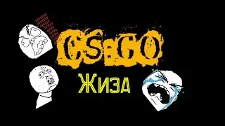 CS:GO - Жиза