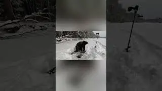 Хороший Вася! |рыбалка в России | #fishing  #рыбалка #shorts