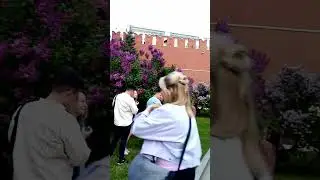 #Сирень_около_Троицкой_башни