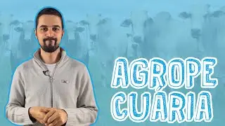 Aula Geografia - Agropecuária - Sistemas Agropecuários para o Enem e Vestibulares - STOODI