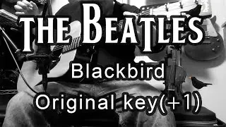 The Beatles - Blackbird (Originalkey+1)[Karaoke]