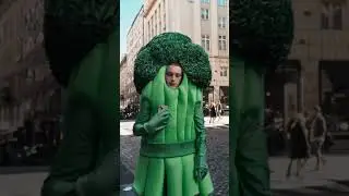 🔎🔎 Поиск подходящих онлайн-курсов