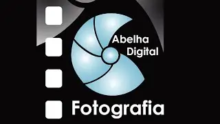 Abelha Digital Fotografia Ltda