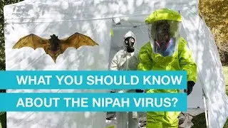 What You Should Know About the Nipah Virus?