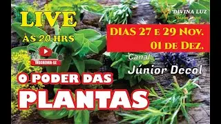 ABRIR CAMINHOS - PROSPERIDADE - VIBRAÇÕES POSITIVAS - VAMOS CONHECER O PODER DAS PLANTAS 