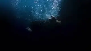 The Drowning Moment… BITTERSUITE in a Different Way
