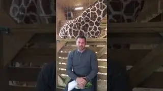 April the Giraffe: The World On Edge