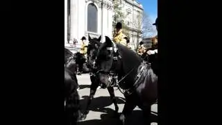 Horse parade outside Saint Paul's Cathedral London United Kingdom