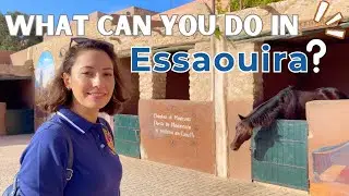 Fun day in Essaouira, Morocco |4K|