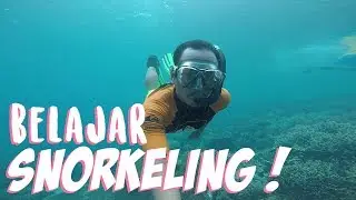 Tips Snorkeling Bagi Pemula