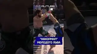 🤯 Хачатрян накормил молодого льва! Жесткий бой на Наше Дело!  #нашедело #mma #бой