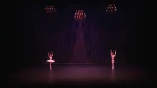 [2019 Rising Stars] 잠자는 숲 속의 미녀 결혼식 파드되 Wedding Pas de Deux from Sleeping Beauty