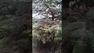 А за окном Май