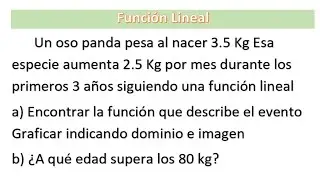 Problemas con Funciones Lineales