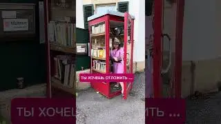 Помогу организовать переезд в Германию через обучение #учебазаграницей #учебавевропебесплатно