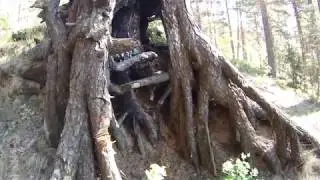 Озеро Череменецкое родники
