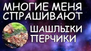 Шашлыки да Перцы / Многие меня спрашивают