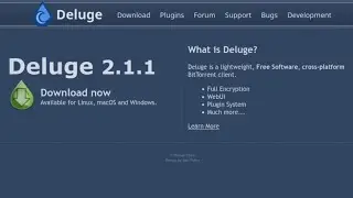 Deluge - Selfhosted Seedbox