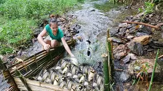 Full video: How to Make Super Fish trap on the River During Flood Season By Phung Loan.