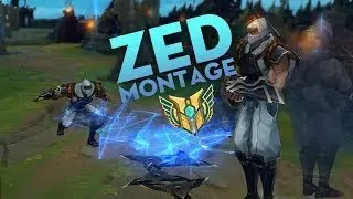 ZED.mp4