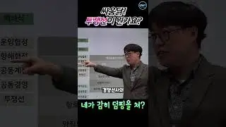 해운동맹 싸움닭 투쟁선이 무엇일까요