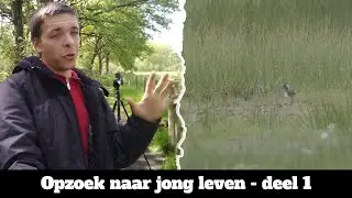 Arne Fotografeert ( Seizoen 3 afl 5 ) Opzoek naar jong leven - deel 1 van 2