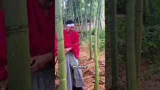The performance of Japanese swords depends on experience ☯︎ ⚔️ 😲 