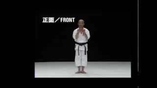 Нисейси