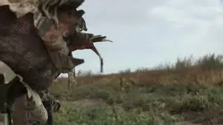 Bowhunter Gets Second Shot on Archery Antelope using a Stalker Decoy