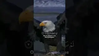 ☝️