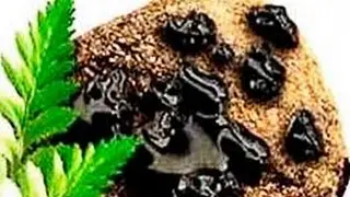 Mumiyo xakida malumot ✿❀ Мумиё хакида малумот