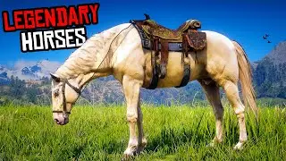 3 LEGENDARY HORSES Location RDR 2