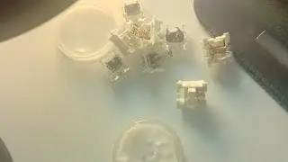 Lubing Outemu Switches