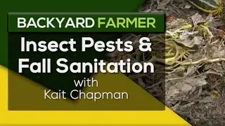 Insect Pests & Fall Sanitation