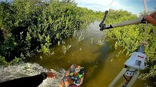 Kiteboarding Through (and over) The Mangroves