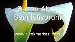Sezen Aksu - Seni istiyorum - http://www.cicekmerkezi.com