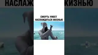 Смерть пришла не спрашивая)))