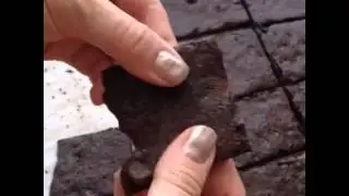 Crunchy Brownie Crisps