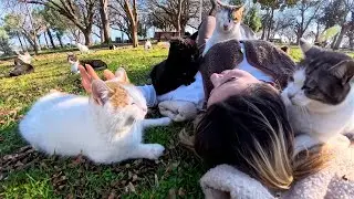 The happiness and peace that cats bring cannot be bought with any currency.