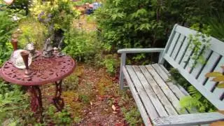 A Cottage in the Woods...Fertile Edges of Zones Zero and One!
