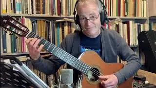 Wings - Birdy (Fingerstyle cover)